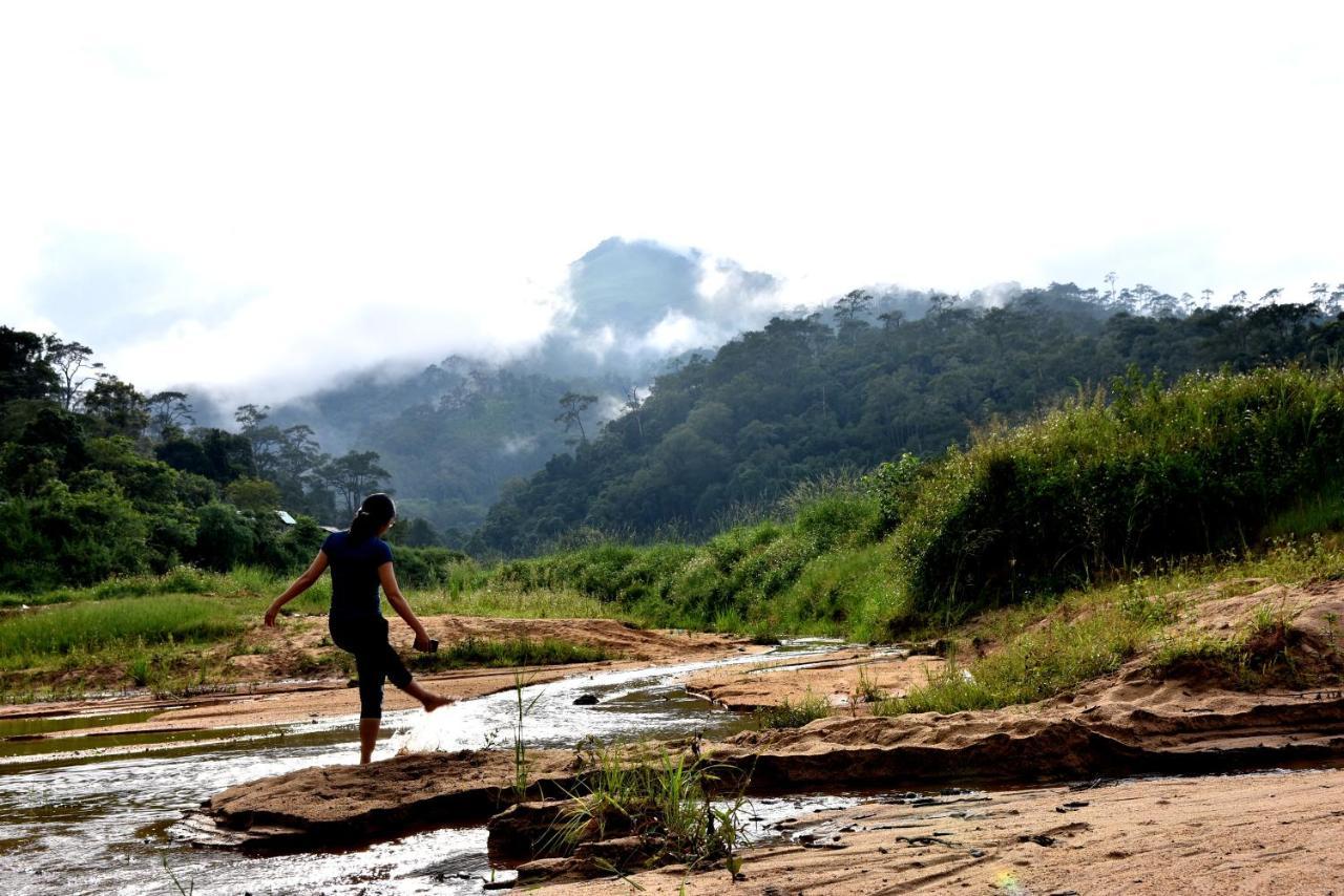 Big Mang Den Homestay Kon Von Kla Bagian luar foto