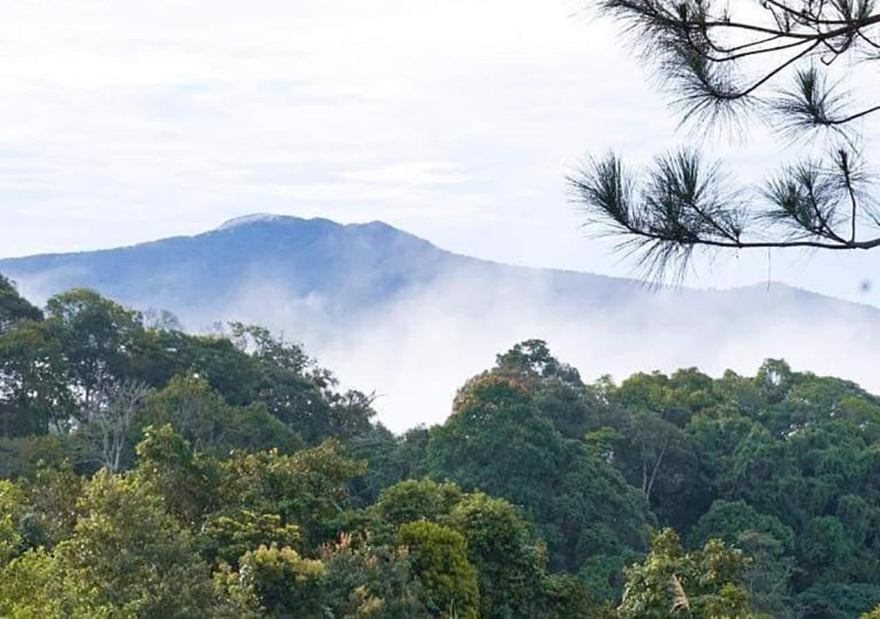 Big Mang Den Homestay Kon Von Kla Bagian luar foto